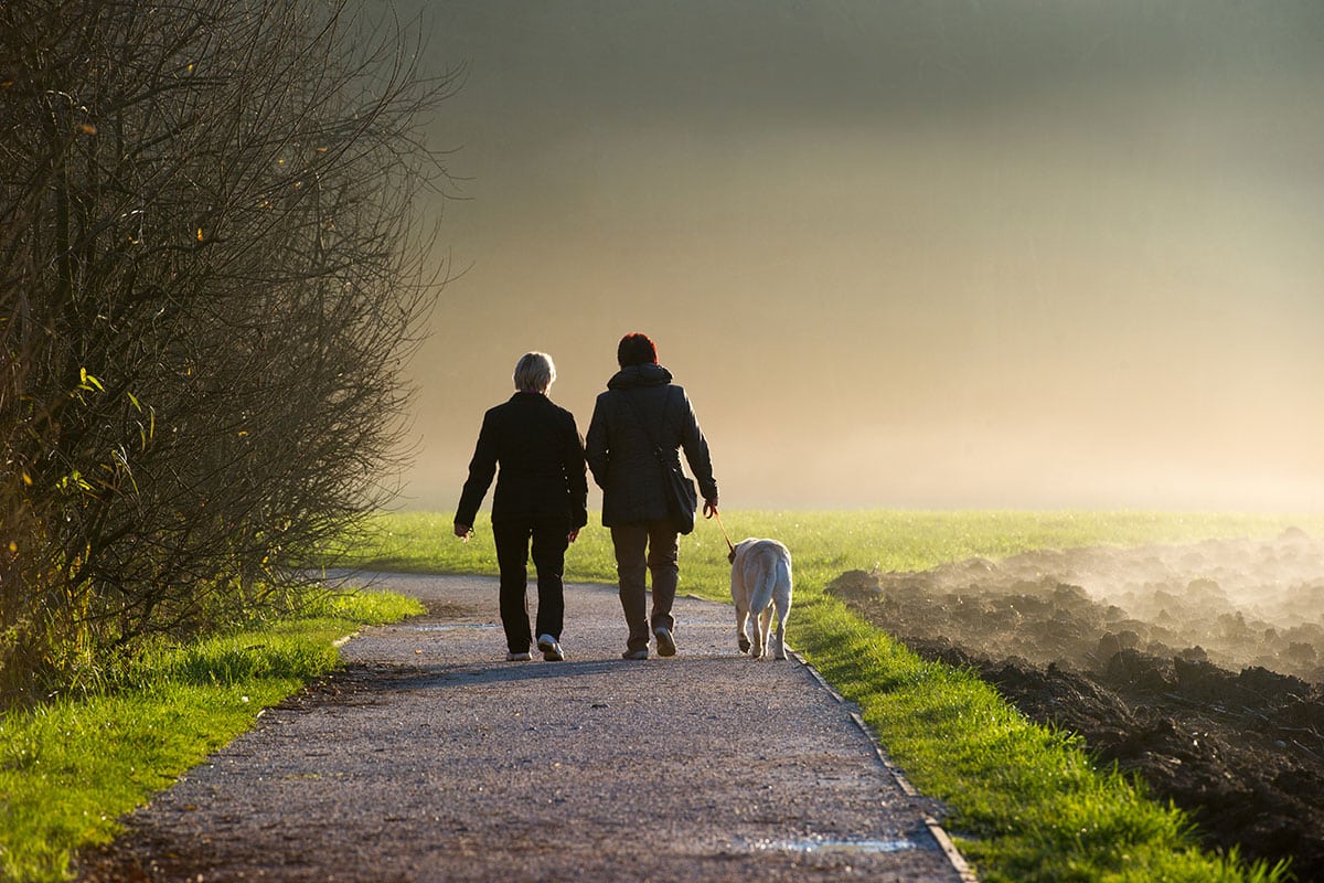 Euthanasia Mobile Cat And Dog Vet