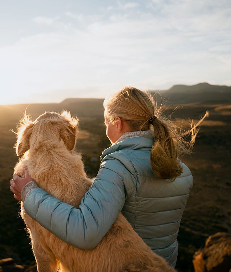 Euthanasia Mobile Cat And Dog Vet